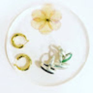 Meet your Posher, Chip